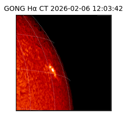 gong - 2026-02-06T12:03:42