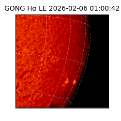 gong - 2026-02-06T01:00:42