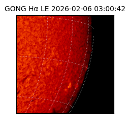 gong - 2026-02-06T03:00:42