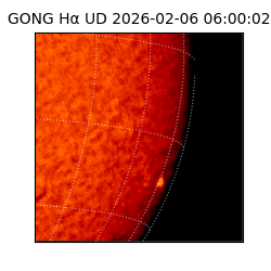 gong - 2026-02-06T06:00:02