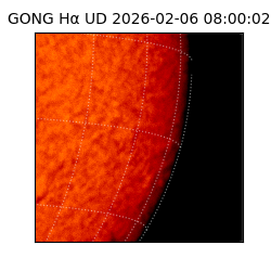 gong - 2026-02-06T08:00:02