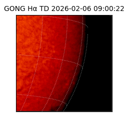 gong - 2026-02-06T09:00:22