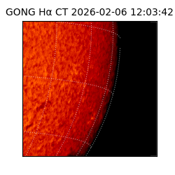 gong - 2026-02-06T12:03:42