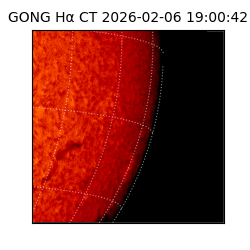 gong - 2026-02-06T19:00:42