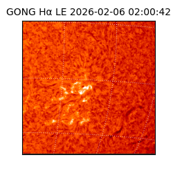 gong - 2026-02-06T02:00:42