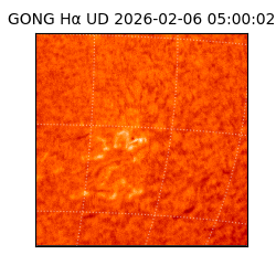 gong - 2026-02-06T05:00:02