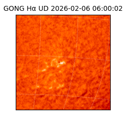 gong - 2026-02-06T06:00:02
