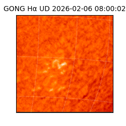 gong - 2026-02-06T08:00:02