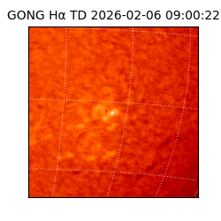 gong - 2026-02-06T09:00:22
