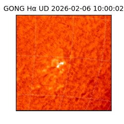 gong - 2026-02-06T10:00:02