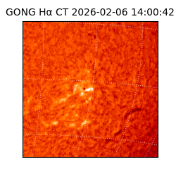 gong - 2026-02-06T14:00:42