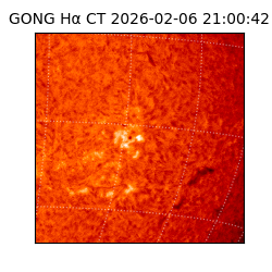 gong - 2026-02-06T21:00:42