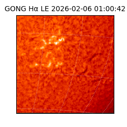 gong - 2026-02-06T01:00:42