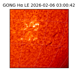 gong - 2026-02-06T03:00:42