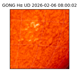 gong - 2026-02-06T08:00:02
