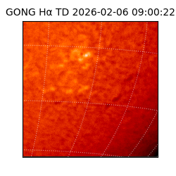gong - 2026-02-06T09:00:22