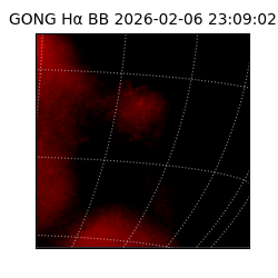 gong - 2026-02-06T23:09:02