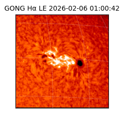 gong - 2026-02-06T01:00:42