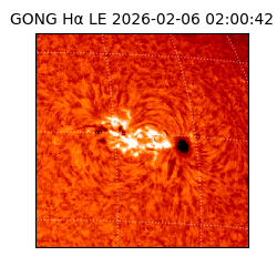 gong - 2026-02-06T02:00:42