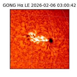 gong - 2026-02-06T03:00:42