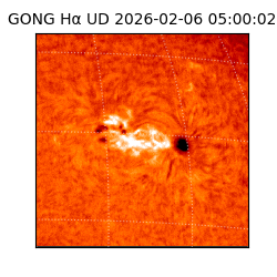 gong - 2026-02-06T05:00:02