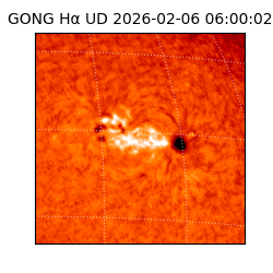 gong - 2026-02-06T06:00:02