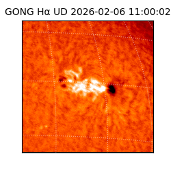 gong - 2026-02-06T11:00:02