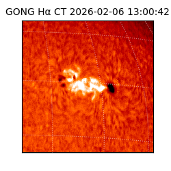 gong - 2026-02-06T13:00:42