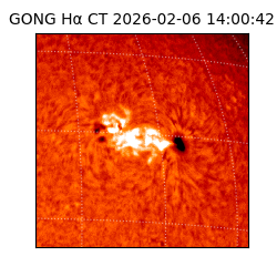 gong - 2026-02-06T14:00:42