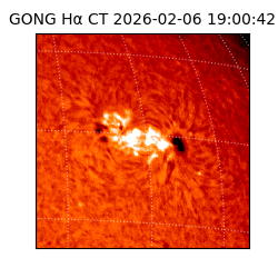 gong - 2026-02-06T19:00:42