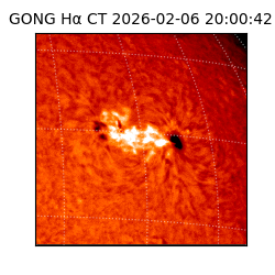 gong - 2026-02-06T20:00:42
