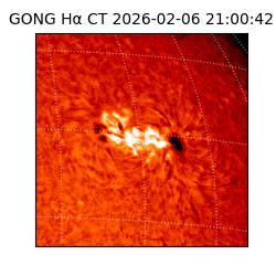 gong - 2026-02-06T21:00:42