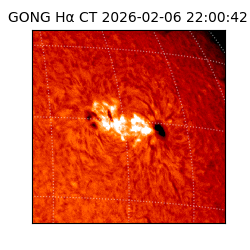 gong - 2026-02-06T22:00:42