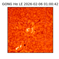 gong - 2026-02-06T01:00:42
