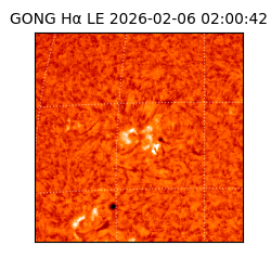 gong - 2026-02-06T02:00:42