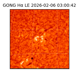 gong - 2026-02-06T03:00:42