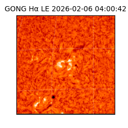 gong - 2026-02-06T04:00:42