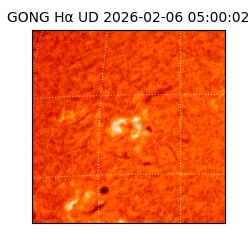 gong - 2026-02-06T05:00:02