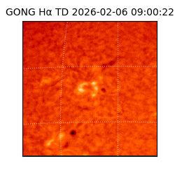 gong - 2026-02-06T09:00:22