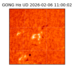 gong - 2026-02-06T11:00:02