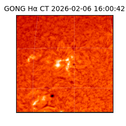 gong - 2026-02-06T16:00:42