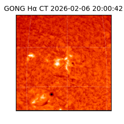 gong - 2026-02-06T20:00:42