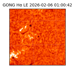 gong - 2026-02-06T01:00:42