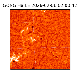 gong - 2026-02-06T02:00:42