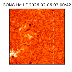 gong - 2026-02-06T03:00:42