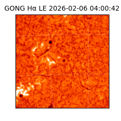 gong - 2026-02-06T04:00:42