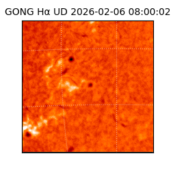 gong - 2026-02-06T08:00:02