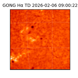 gong - 2026-02-06T09:00:22