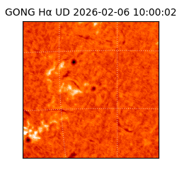 gong - 2026-02-06T10:00:02