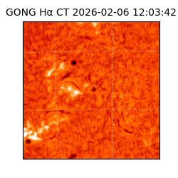 gong - 2026-02-06T12:03:42